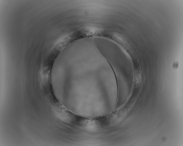 X0000096180276200802011350