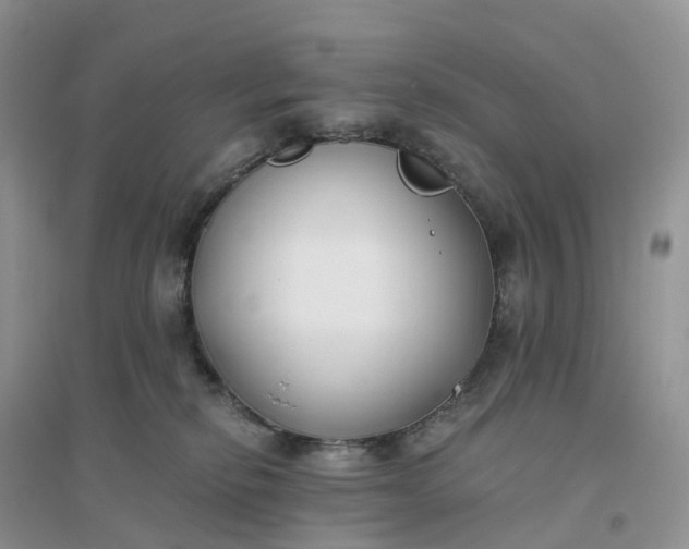 X0000096180278200802011350