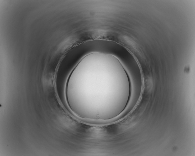 X0000096180280200802011350