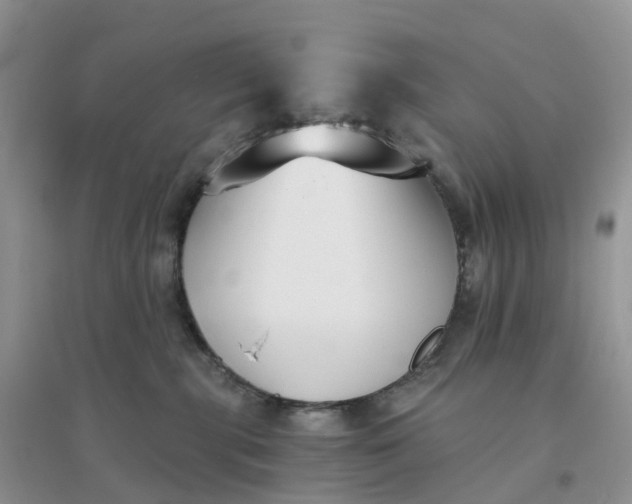 X0000096180283200802011350