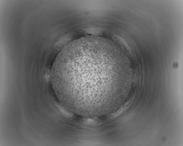 X0000096180285200802011350