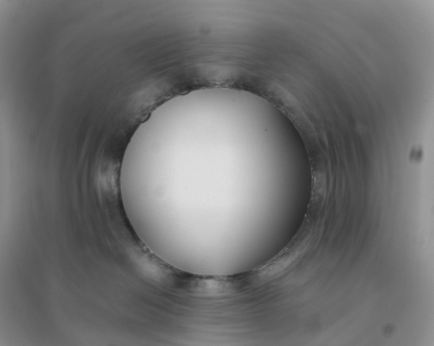 X0000096180286200802011350