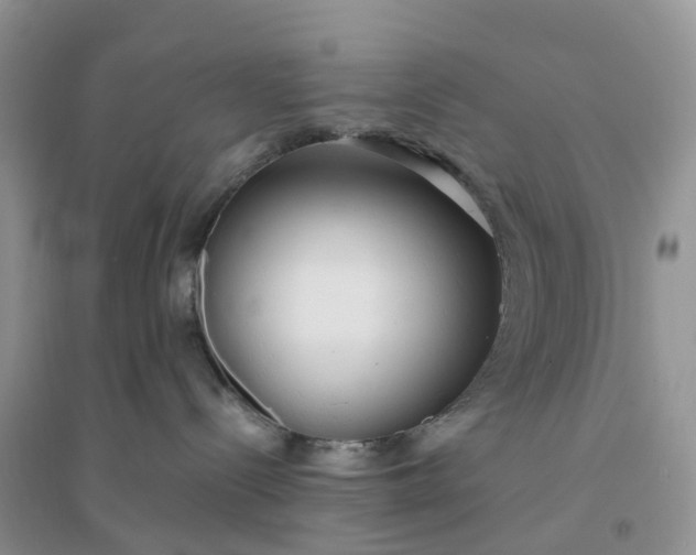 X0000096180288200802011350