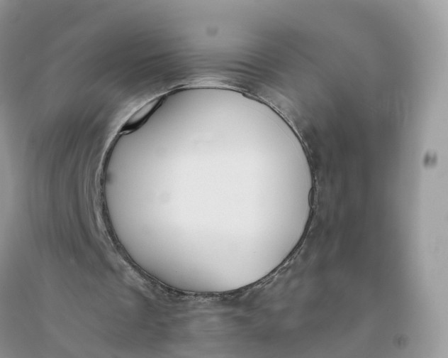X0000096180289200802011349