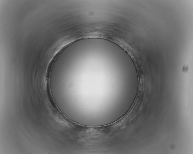 X0000096180290200802011349