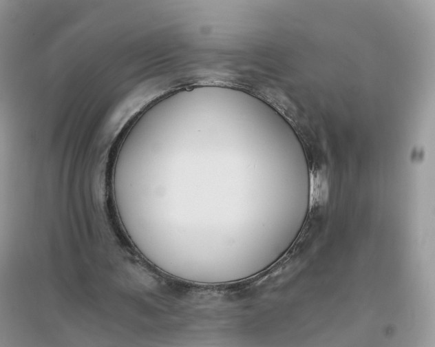 X0000096180291200802011349