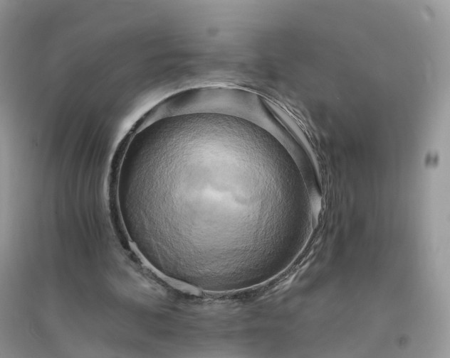 X0000096180292200802011349