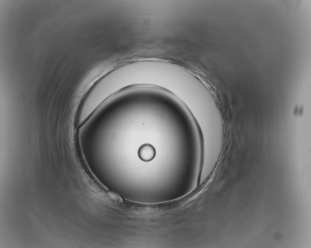 X0000096180293200802011349