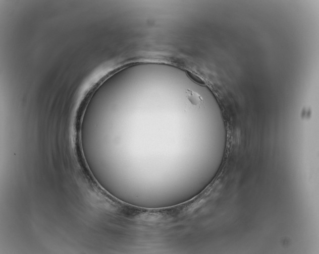 X0000096180294200802011349