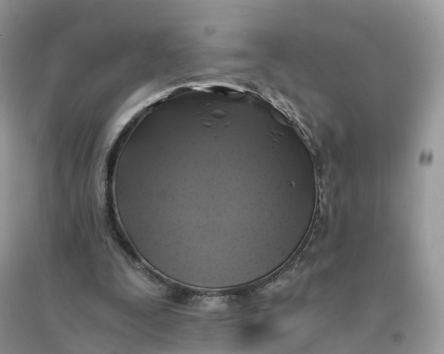X0000096180295200802011349