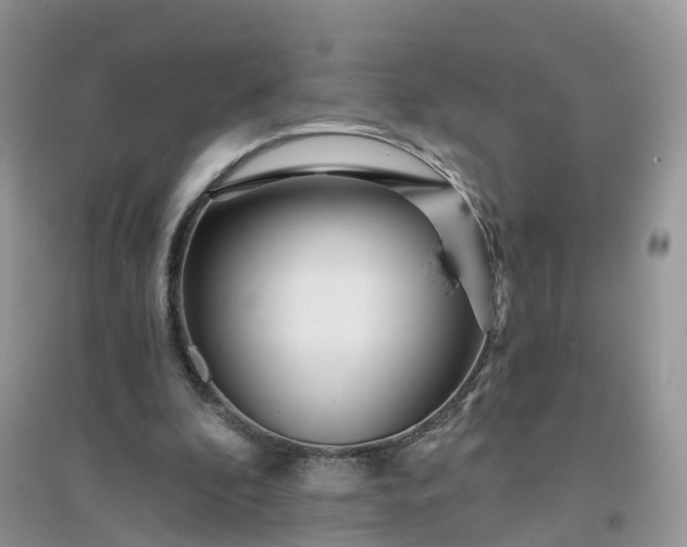 X0000096180296200802011349