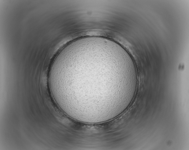 X0000096180297200802011349
