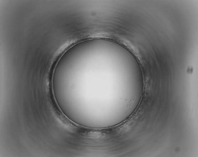 X0000096180298200802011349