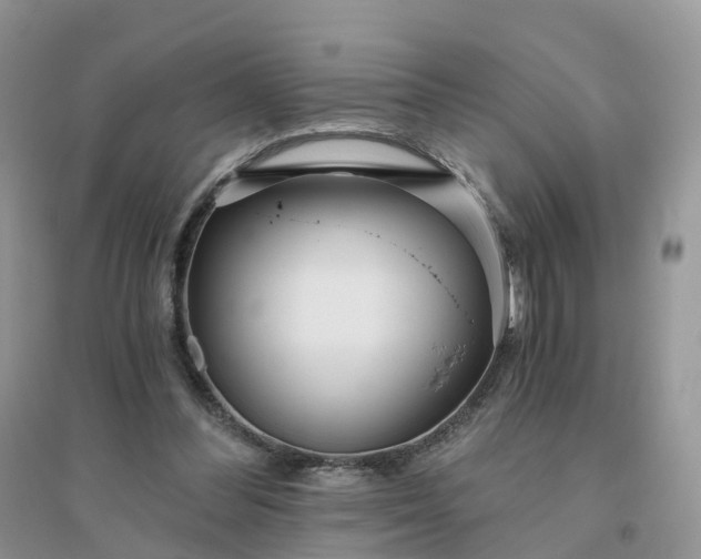 X0000096180300200802011349
