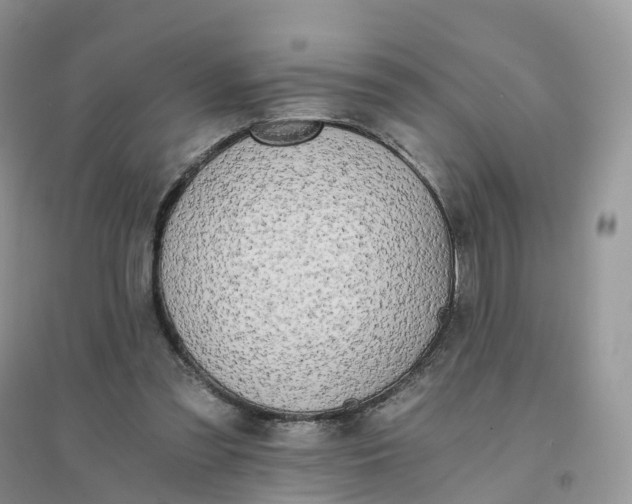 X0000096180301200802011349