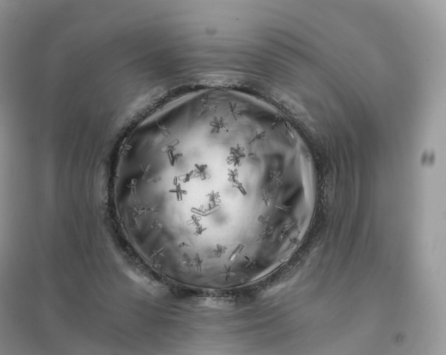 X0000096180303200802011349