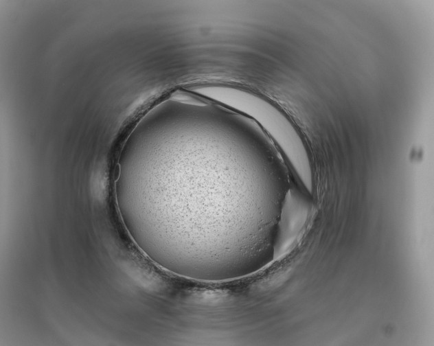 X0000096180304200802011349