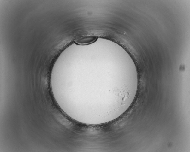 X0000096180305200802011349