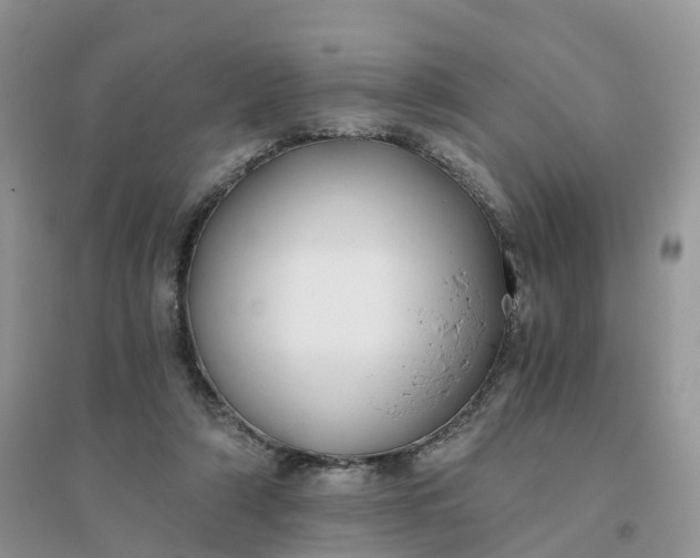 X0000096180306200802011349
