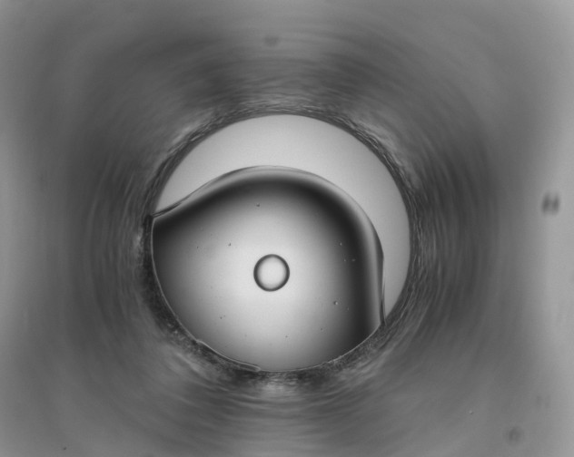 X0000096180308200802011349