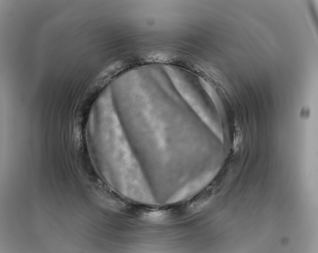 X0000096180312200802011349
