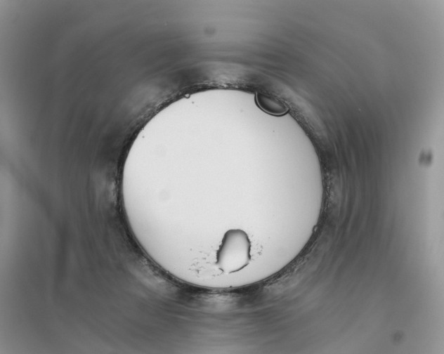 X0000096180313200802011349