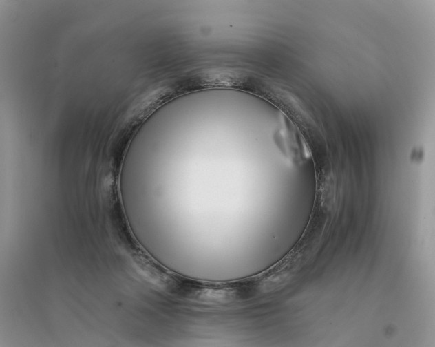 X0000096180314200802011349