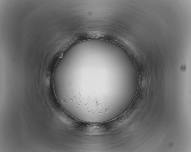 X0000096180315200802011349