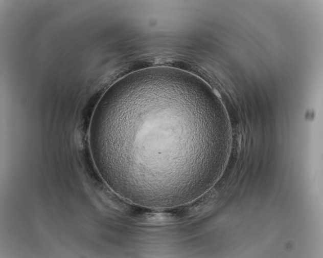 X0000096180316200802011349