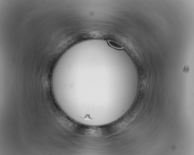 X0000096180317200802011349