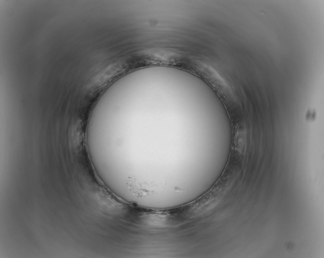 X0000096180318200802011349