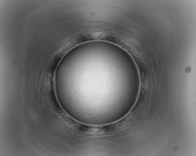 X0000096180319200802011349
