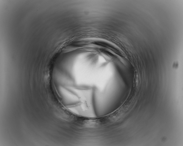 X0000096180320200802011349