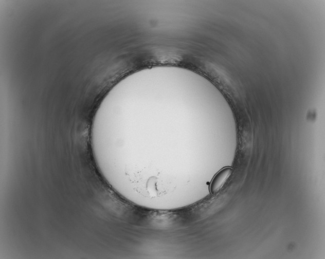 X0000096180321200802011349