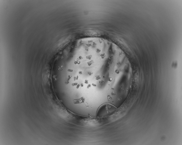 X0000096180322200802011349