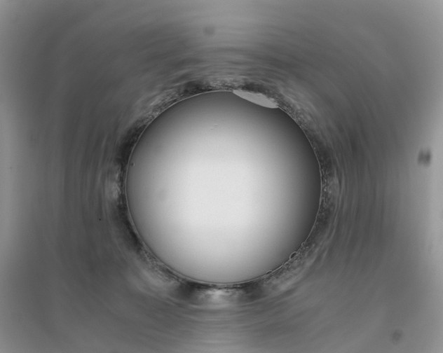 X0000096180323200802011349