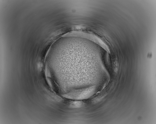 X0000096180324200802011349