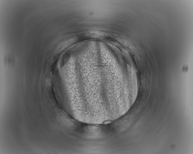 X0000096180325200802011349