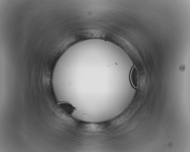 X0000096180326200802011349