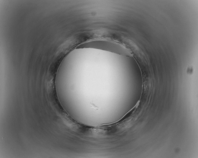 X0000096180327200802011349