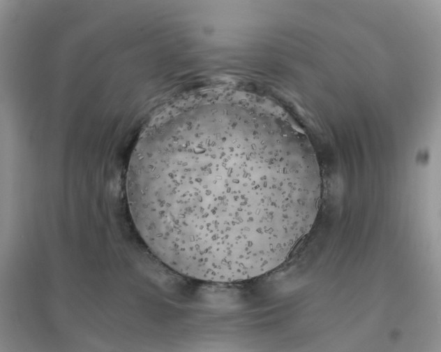 X0000096180331200802011349