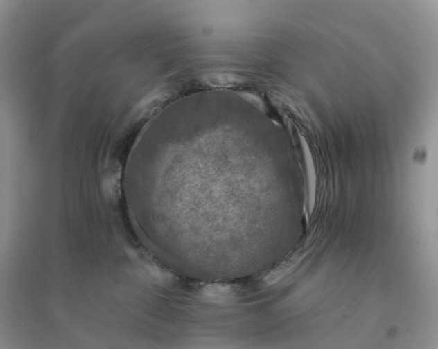 X0000096180332200802011349