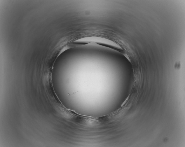 X0000096180333200802011349