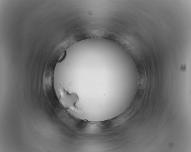 X0000096180334200802011349