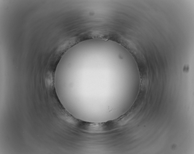 X0000096180335200802011349