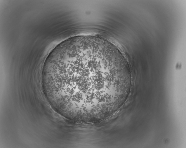 X0000096180337200802011348