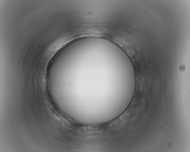 X0000096180338200802011348