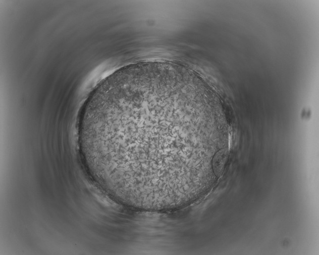 X0000096180339200802011348