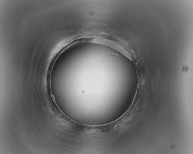 X0000096180340200802011348