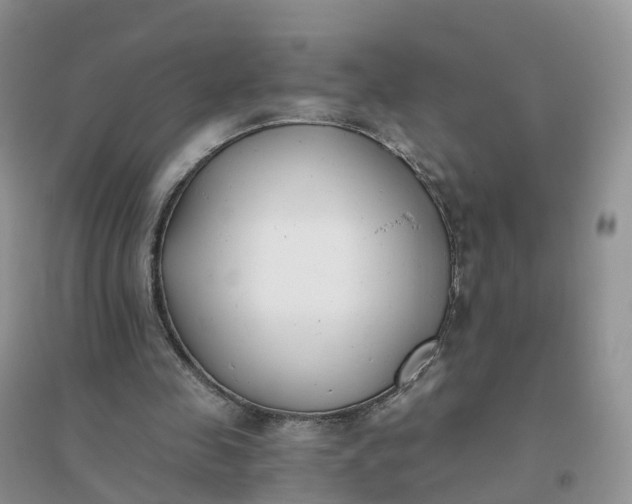 X0000096180341200802011348